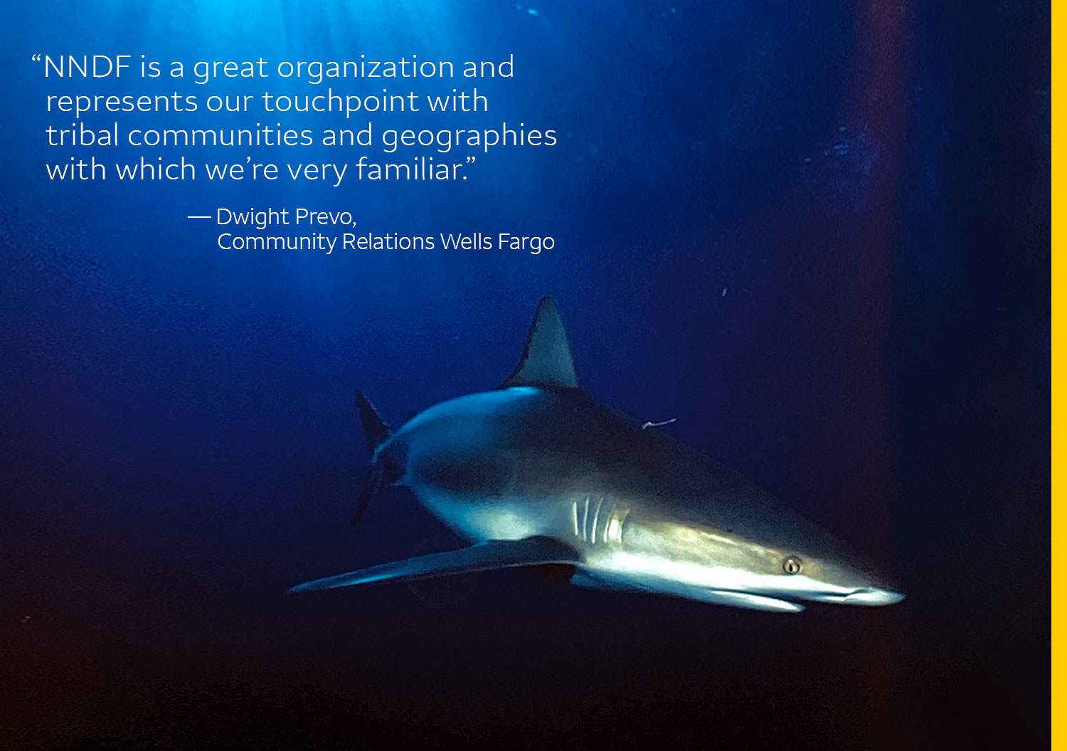  A photo of a shark underwater has the following quote: “NNDF is a great organization and represents our touchpoint with tribal communities and geographies with which we’re very familiar.” — Dwight Prevo, Community Relations Wells Fargo