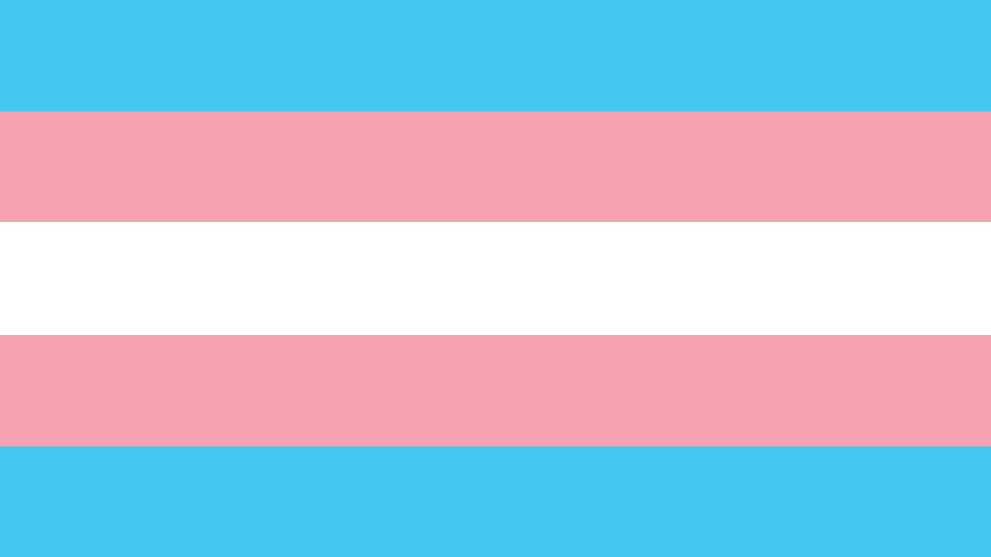 The flag of the transgender community which has five stripes: A light blue stripe at the top and bottom, then a pink stripe, and a white stripe in the middle.