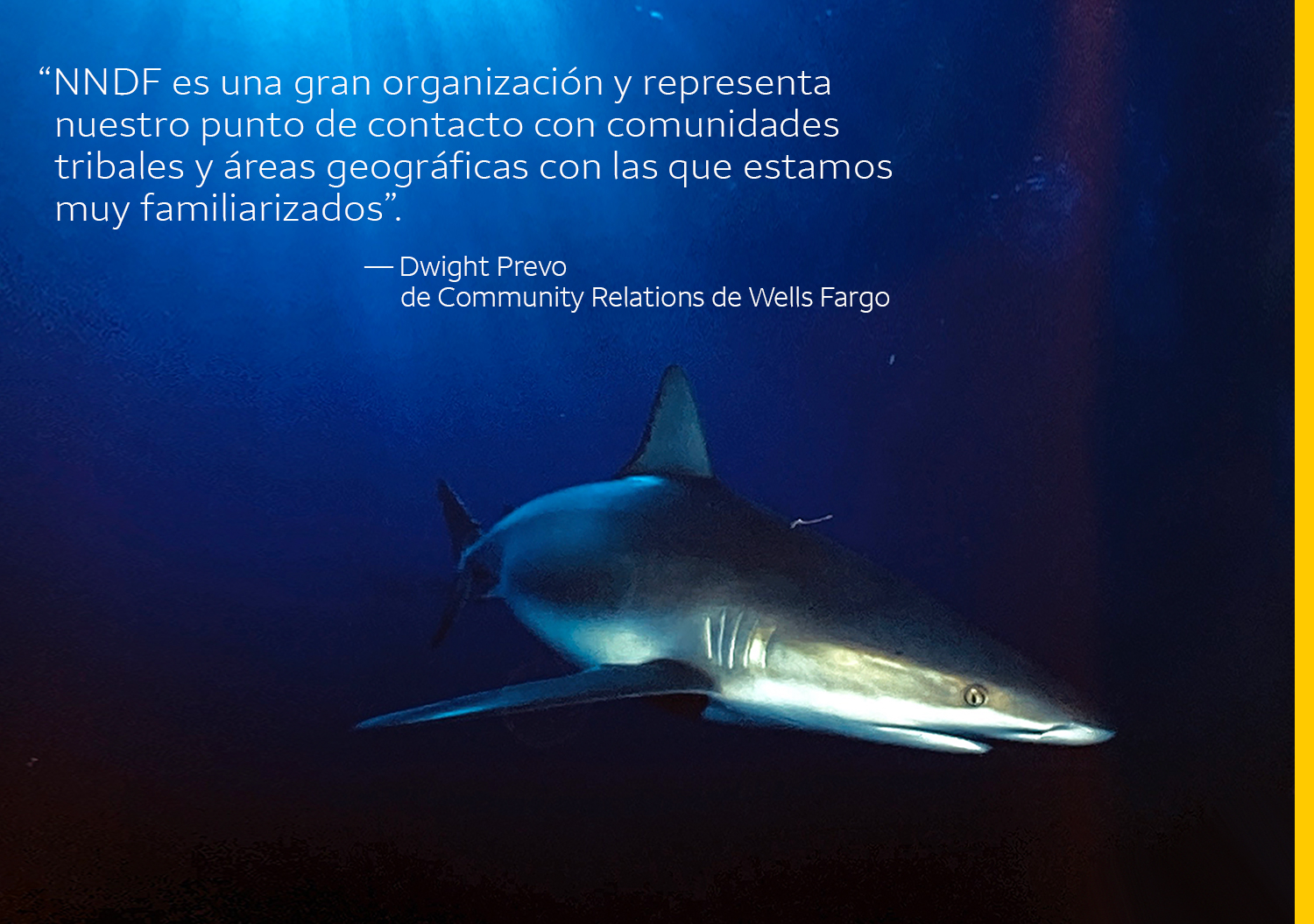  Una foto de un tiburón debajo del agua tiene la siguiente cita: “NNDF es una gran organización y representa nuestro punto de contacto con comunidades tribales y áreas geográficas con las que estamos muy familiarizados”. — Dwight Prevo, Community Relations de Wells Fargo