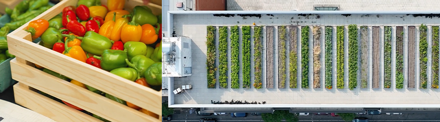 an aerial view of a rooftop garden in a city