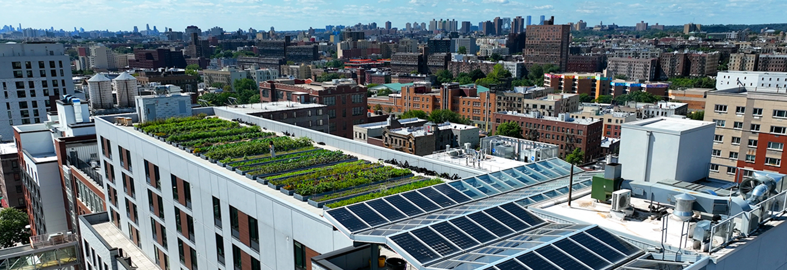 Pictures of fresh vegetables and rows of gardens overlay an aerial photo of a city rooftop.