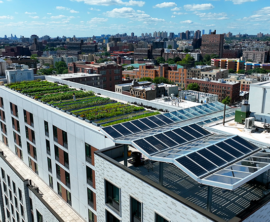 Pictures of fresh vegetables and rows of gardens overlay an aerial photo of a city rooftop.