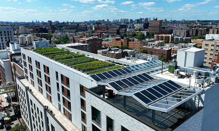 Pictures of fresh vegetables and rows of gardens overlay an aerial photo of a city rooftop.