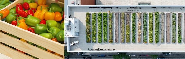 an aerial view of a rooftop garden in a city