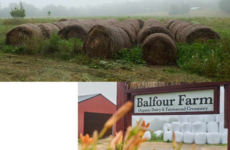 Two images show multiple sod rolls in a field and the Balfour Farm sign with a barn in the background.