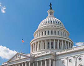 Picture of the U.S. Capitol