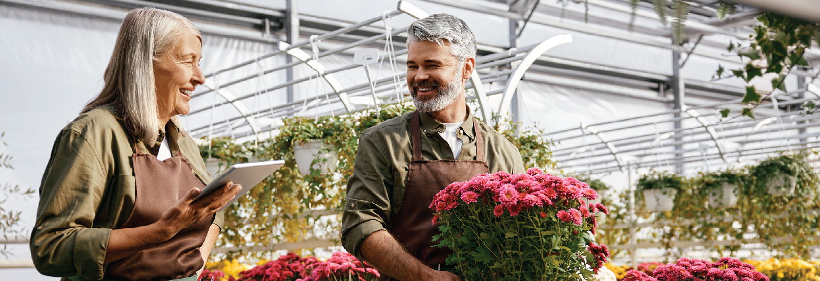Two greenhouse workers, one holding a tablet and another carrying a pot of bright pink flowers, smile as they talk.