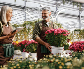 Two greenhouse workers, one holding a tablet and another carrying a pot of bright pink flowers, smile as they talk.