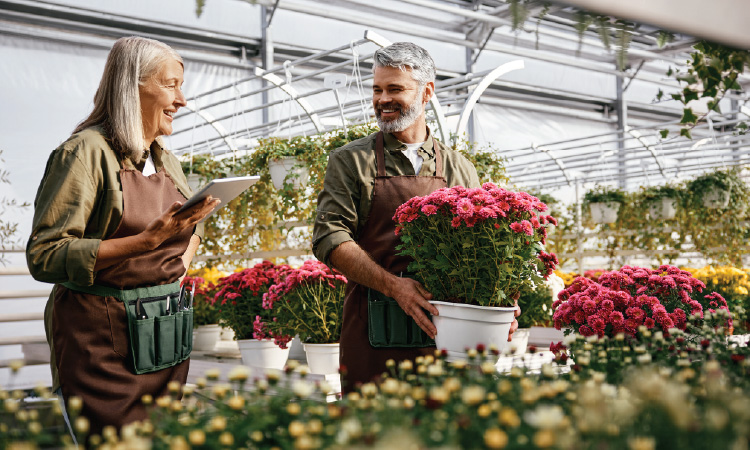 Two greenhouse workers, one holding a tablet and another carrying a pot of bright pink flowers, smile as they talk.