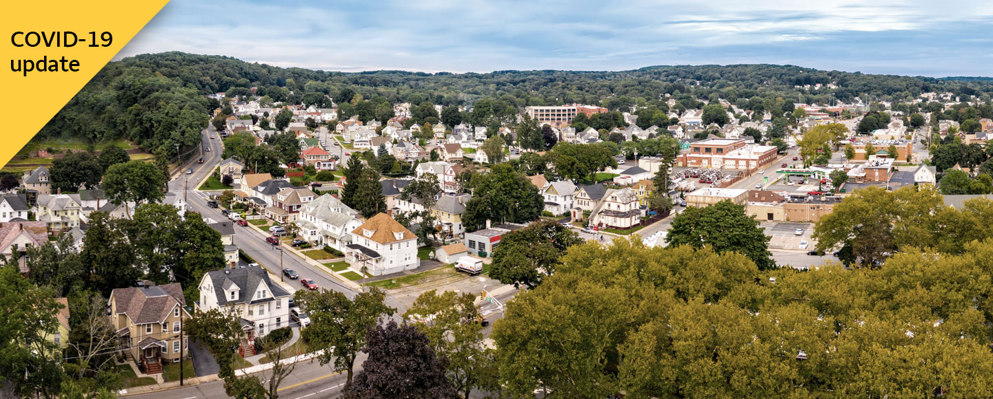 Overhead view of a town, showing houses, streets, and trees. 