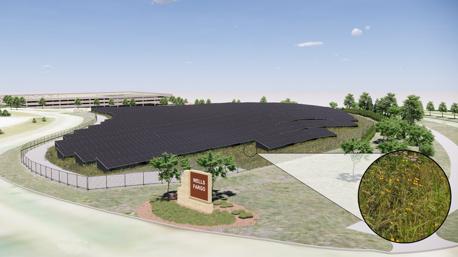 A computer-generated image shows a large cluster of ground-mounted solar panels. In the bottom right, an image shows the flowers in a planned pollinator garden.