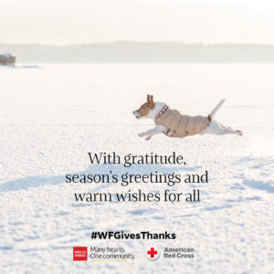 'With gratitude, season's greetings and warm wishes for all' e-card text on a photo of dog wearing a tan vest and leaping across a snowy field. #WFGivesThanks, 'Many hearts. One community.', and Red Cross logos are centered at the bottom.