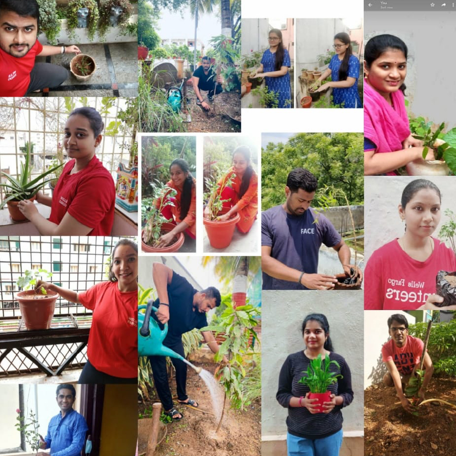 A collage of images show people, many in red shirts, posing with potted plants.