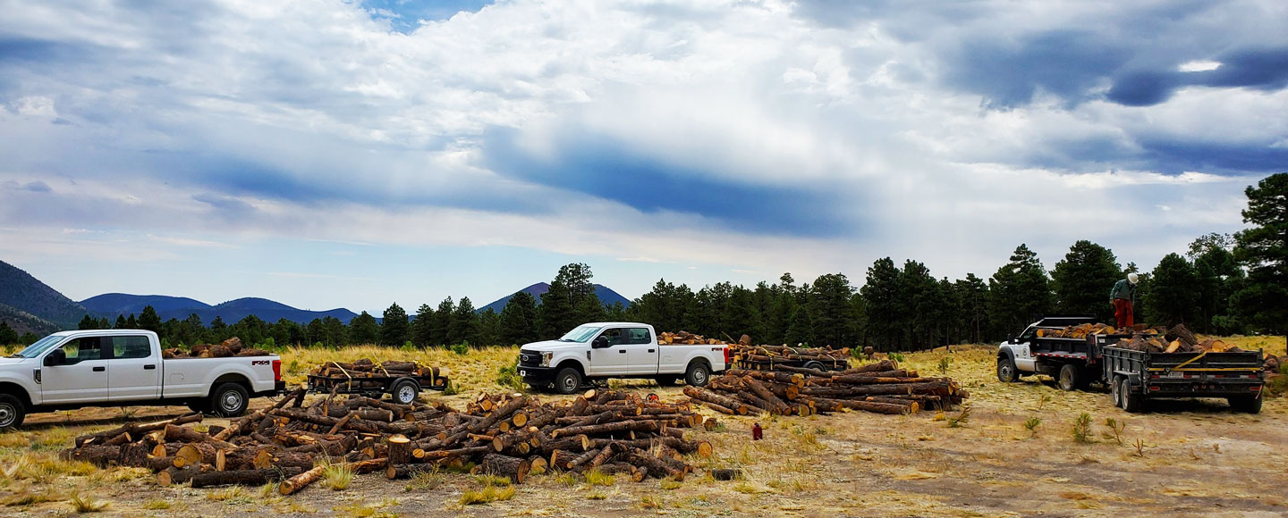 Two white trucks are parked in a field near piles of logs against a mountainous background.