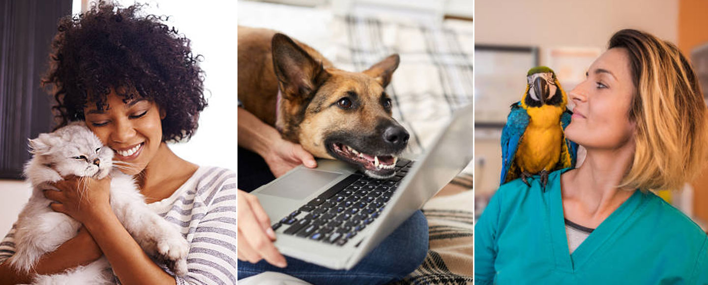 In three side-by-side photos, a woman hugs her cat, a German Shepherd rests its head on a laptop keyboard, and a woman smiles at a parrot sitting on her shoulder.