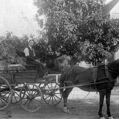 Wells Fargo wagon, the musical